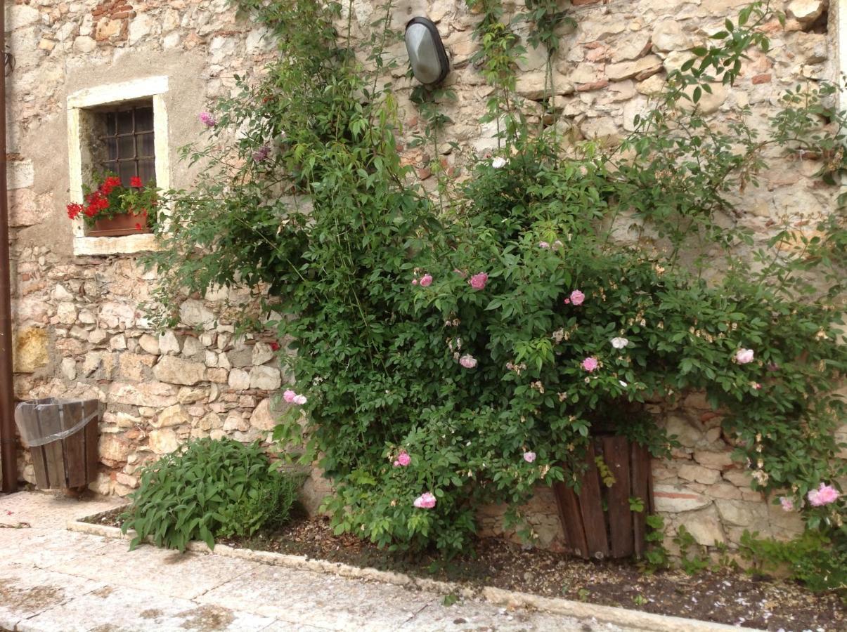 Agriturismo Ca' Verde SantʼAmbrogio di Valpolicella エクステリア 写真