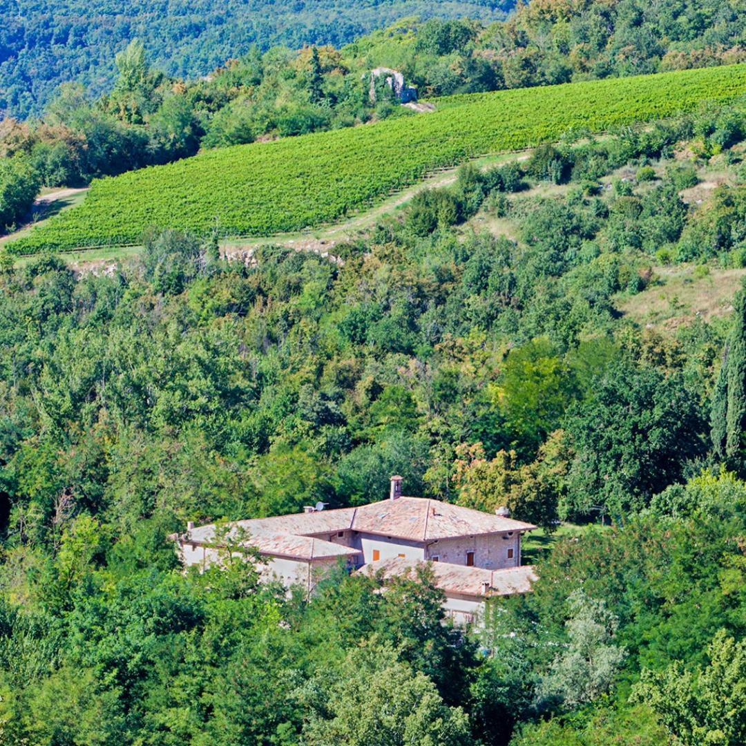Agriturismo Ca' Verde SantʼAmbrogio di Valpolicella エクステリア 写真